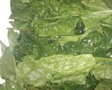 Foto del paso 1 de la receta: Empanada de espinaca