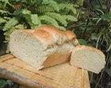 Foto del paso 5 de la receta: Pan tipo brioche de naranja con Tang zhong ✨