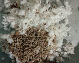 மணத்தக்காளி கீரை தண்ணீசாறு ரெசிபி ஸ்டேப் 2 புகைப்படம்