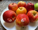 Une image de l'étape 1 de 🎀Feuilleté 🫐🍒🍓fruits rouges pomme 🍎 honey crunch.