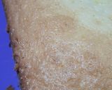 Foto del paso 4 de la receta: Budín de mandarina