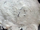 Duth pitha and soruchakli