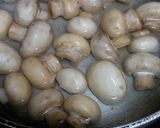 A picture of step 1 of Mushroom.