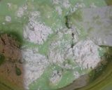 Foto langkah ke 4 dari resep Bolu tape pandan keju(kukus tanpa telur).