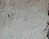 Foto del paso 3 de la receta: Brazo de terciopelo rojo relleno de buttercream de queso