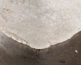 A picture of step 6 of Jolada Rotti / Jowar Roti Karnataka Special.