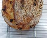 Gambar langkah 7 resipi Cinnamon Raisin Sourdough Bread.