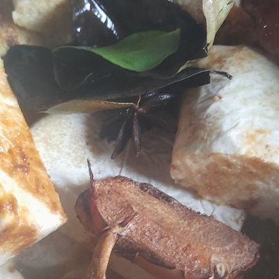 Langkah 4