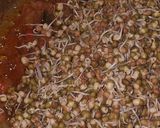 A picture of step 5 of Sprouted moong matki sabji.