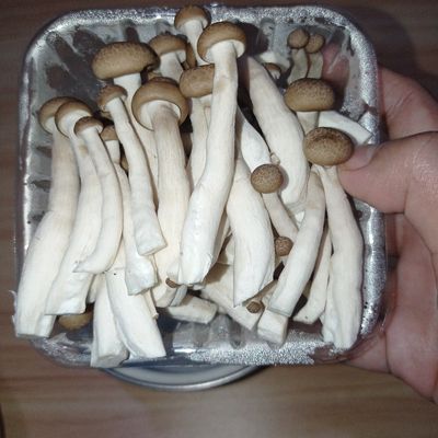 Langkah 2