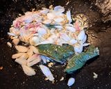 Foto langkah ke 2 dari resep Oseng Soun Cabe Ijo.