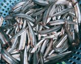 Hình bước làm 1 của món Cá Cơm Chiên Bột