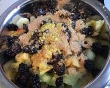 Une image de l'étape 7 de Salade de fruits (melon vert,prunes d ante,mûres,ananas et banane).