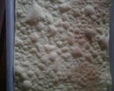 Foto del paso 4 de la receta: Rogel
