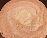 Foto del paso 3 de la receta: Tarta de Castañas