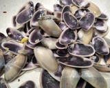 Foto del paso 7 de la receta: Espaguetis con tellinas