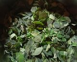 সজনে শাক (sajne saag recipe in Bengali) রেসিপির ধাপ 1 ছবি