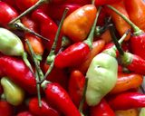 Foto langkah ke 1 dari resep Sambal Terasi Mantap.