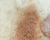 Foto del paso 8 de la receta: Salsa bechamel