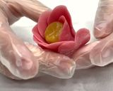 A picture of step 7 of Bing Pi (Snow Skin) Peony Mooncake (冰皮牡丹月餅).