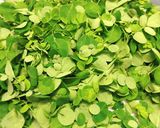 Hình bước làm 1 của món Canh Rau Chùm Ngây Nấu Tôm