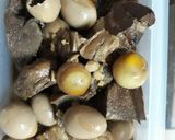 Hình bước làm 3 của món Bữa cơm hôm nay