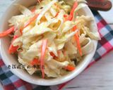 高麗菜沙拉Coleslaw【聖誕料理】的食譜步驟6照片