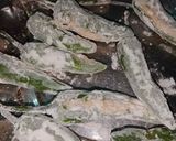 A picture of step 3 of Peri Bites.