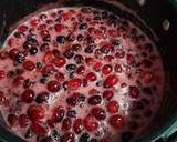 Old Fashioned cranberry sauce recipe step 3 photo