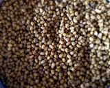 A picture of step 1 of Green grams (pacha payir kalambu).