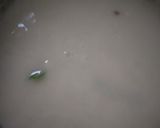 Foto langkah ke 2 dari resep 362) Puding Putu Ayu.