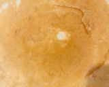 🫠Palacsinta 🫓🍫 recept fázis 5 fotója