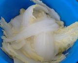 Foto del paso 1 de la receta: Endivia gratinada