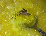 A picture of step 6 of Instant mango chunda (sweet mango pickle).