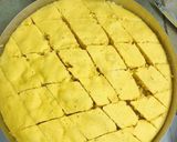 નાયલોન ખમણ (Nylon Khaman Recipe In Gujarati) રેસીપી સ્ટેપ2ફોટો