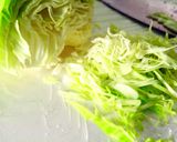 起司蔬菜手捲的食譜步驟3照片