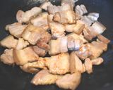酸白菜滷肉的食譜步驟2照片