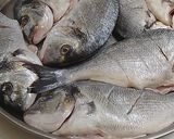 صورة لخطوة 1 من وصفة اطيب سمك 🐟 مشوي من مطبخي😋👌