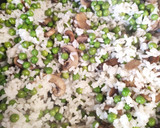 Foto del paso 3 de la receta: Arroz con guisantes y champiñones