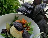 Une image de l'étape 8 de Bouchée de la reine aux legumes basilic pourpre et vert🌶️🌿🌿.