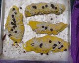Foto langkah ke 2 dari resep Strudel pisang nyoklat Keju.