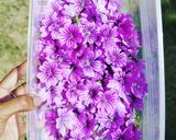Une image de l'étape 1 de Sirop de mauves.