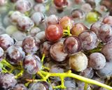 A picture of step 2 of Homemade 100% Grape Juice.
