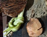 Foto langkah ke 4 dari resep Ayam Panggang Bumbu Rujak.
