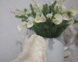Foto langkah ke 12 dari resep Kerupuk nasi.