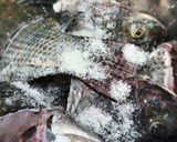 Foto langkah ke 1 dari resep Ikan Nila Sambal Kemangi.