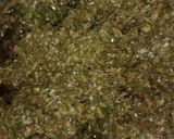 A picture of step 1 of Sarson ka Saag.