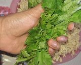 Foto del paso 7 de la receta: Pollo en salsa de cilantro