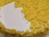 Mimosa