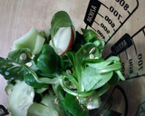 Foto del paso 1 de la receta: Batido verde